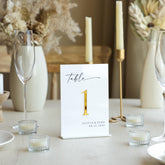 Acrylic Wedding Table Numbers with 3D Letters