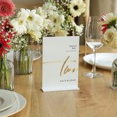 3D Acrylic Wedding Table Numbers